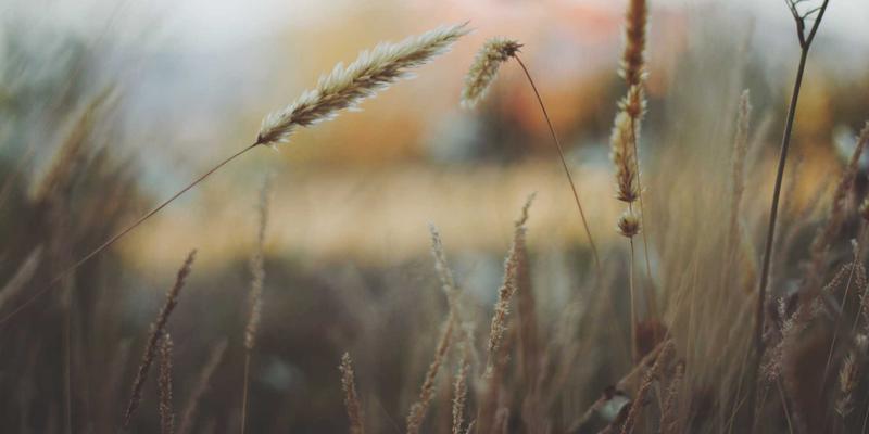 B2B品牌策划的特殊性与方法论：从技术优势到市场认知的跃迁之道