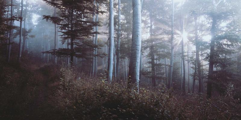 DTC模式下的品牌策划新范式：以品牌设计与市场推广直面消费者