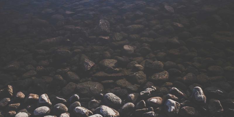 从内核到外显：市场推广与品牌设计如何将内部价值观转化为强大品牌吸引力