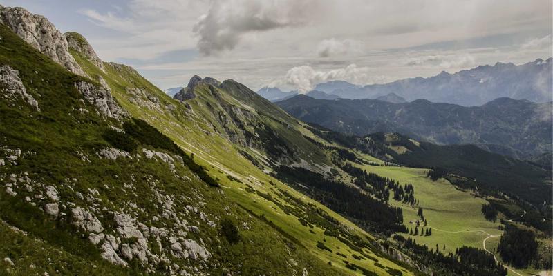 品牌体验设计：整合线上线下触点，打造无缝客户旅程的市场推广新范式