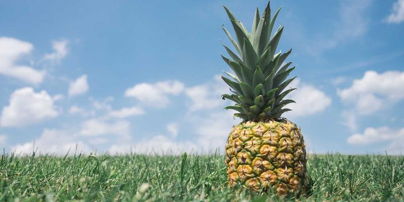 品牌定位战略的迭代与升级：驰名百强的动态策划与营销服务新范式