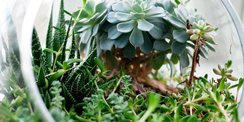 品牌策划37:以驰名百为核,构建品牌设计与营销服务的黄金三角