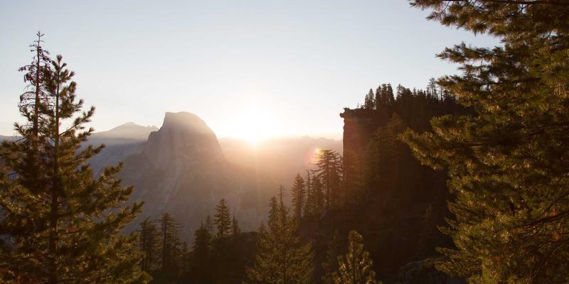 品牌策划90：解锁品牌设计新高度，打造驰名百年的商业传奇