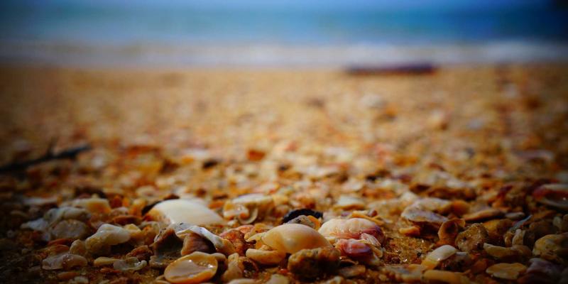 品牌策划与营销策划：驰名百的专业视角解读区别与核心联系