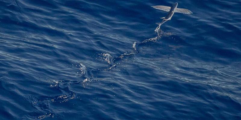 品牌策划与设计新范式：构建品牌社群，实现从消费者到共创者的战略转变