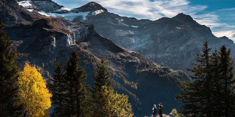 品牌策划是什么？深度解析品牌设计、市场推广与打造驰名百强品牌的战略路径