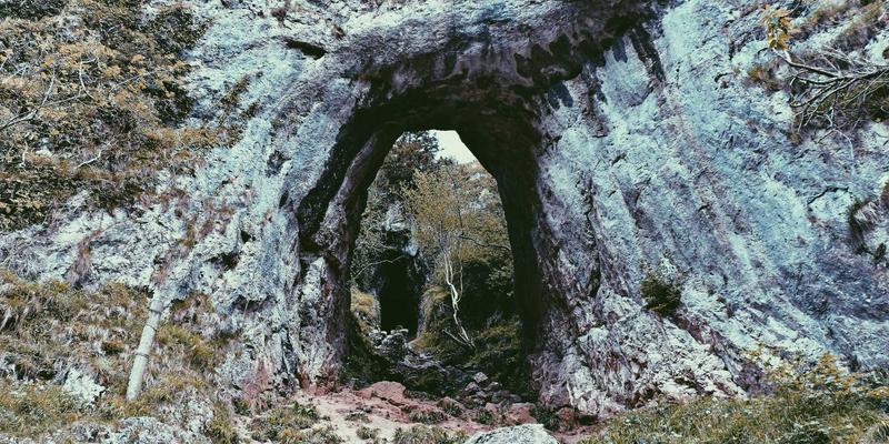 品牌策划评测：市场推广如何借力专业营销服务实现品牌跃升