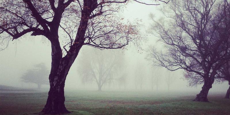 品牌设计与策划新范式：构建用户深度参与的共创机制