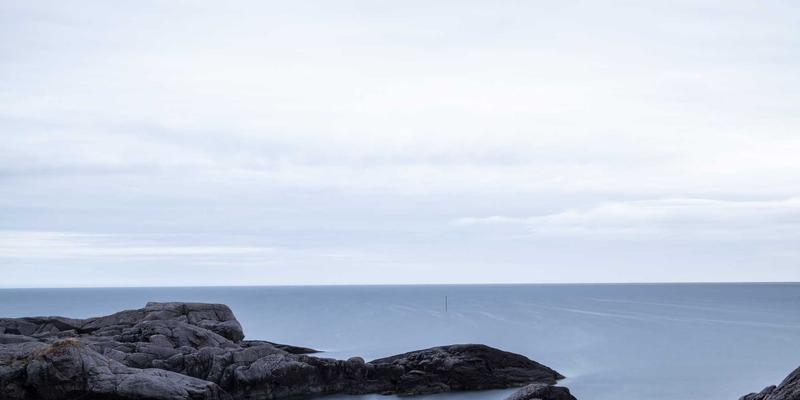 营销服务与品牌设计如何构建市场推广的免疫系统：品牌危机预防与应对全案策划