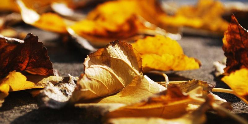 超越Logo的全面体验：如何通过深度构建品牌视觉识别系统（VIS）赋能营销服务与市场推广