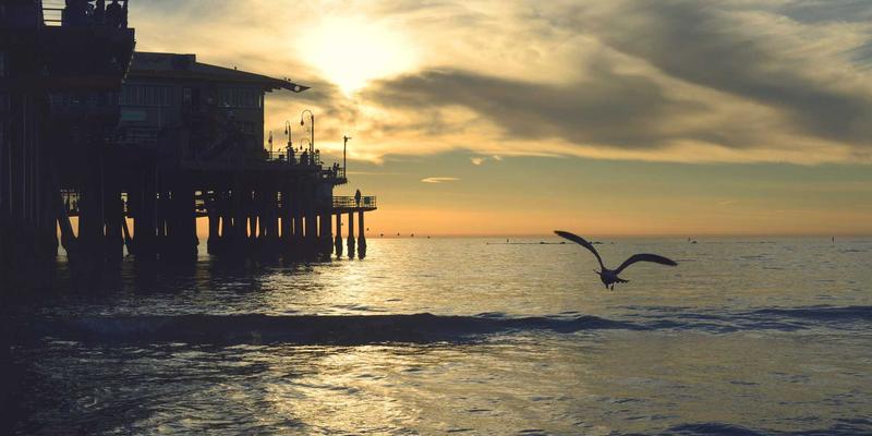 驰名百品牌年轻化策划：以市场推广与品牌设计对话Z世代